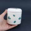 Ceramische potten set – Fittonia (3x)