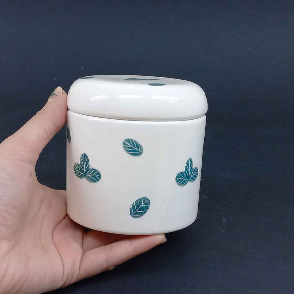 Ceramische potten set – Fittonia (3x)