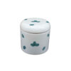Ceramische potten set – Fittonia (3x)