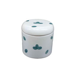 Ceramische potten set – Fittonia (3x)