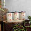 Ceramische potten set – Spring (3x)