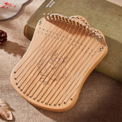 Harpika-instrumenten