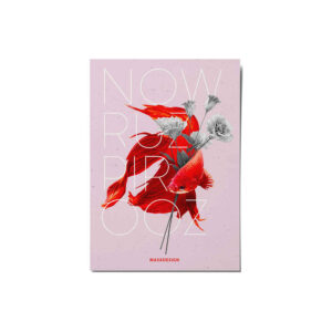 Nowruz Wenskaart – Vis Patroon (Roze)