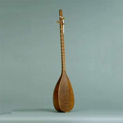 Tanbur (muziekinstrument)