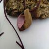 Hout-en-Hars Ketting Handgemaakt – Model Koohestan