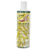 Parjak Olijf Shampoo (4-pack)