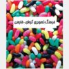Koreaans – Perzisch Visueel Woordenboek door Zahra Yousefi Rad