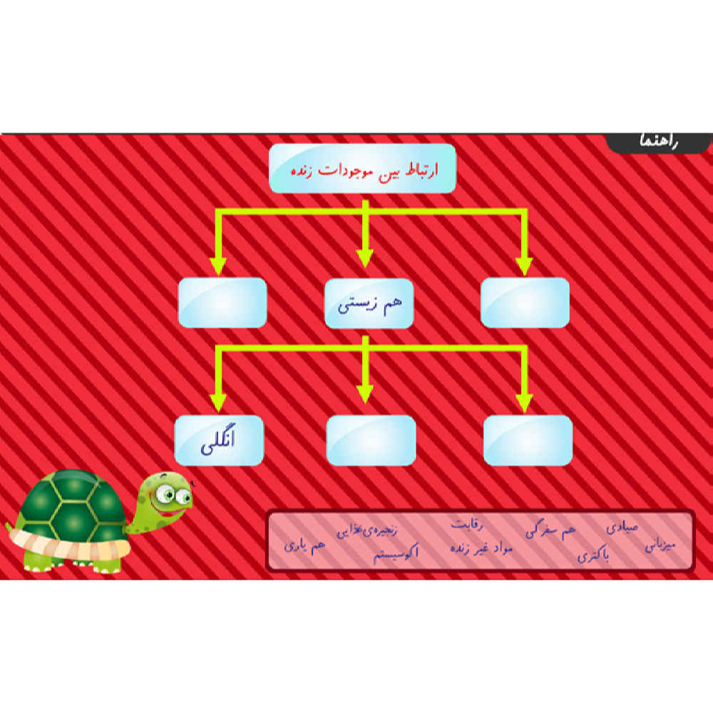 Taty Wereld: Volledige Lessen voor Groep Zes (Software)