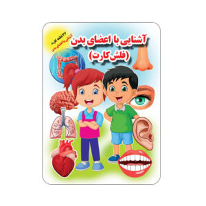 Flashcards Lichaamsdelen (Farsi)