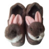 Zachte Dames Pluche Pantoffels Model Khargoosh