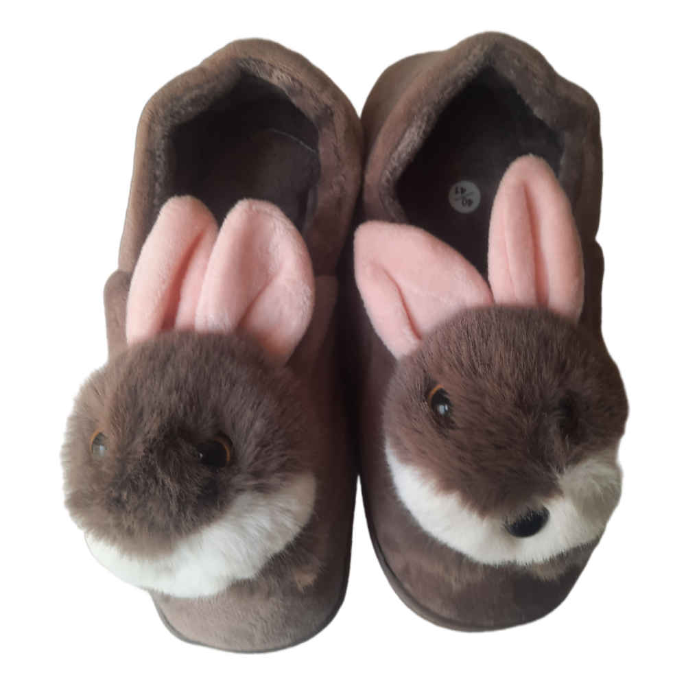 Zachte Dames Pluche Pantoffels Model Khargoosh