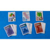 Takenoko Bordspel (Perzische Editie)
