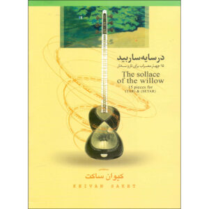 The Sollace of The Willow Boek door Keyvan Saket