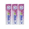 Iraanse Pooneh Whitening Gevoelige Tandpasta 100 ml (12 stuks)