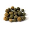 Aleppo Eik Galnoten (Majuphal) – 500 gram