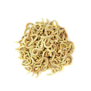 Gedroogde Astragalus Hamosus Peulvruchten / Harige Vetchling – 500g