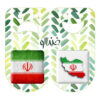 Perzische Speldenset – Vlag van Iran (2 stuks)