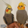 Amigurumi gevulde valkparkiet vogel handgemaakt