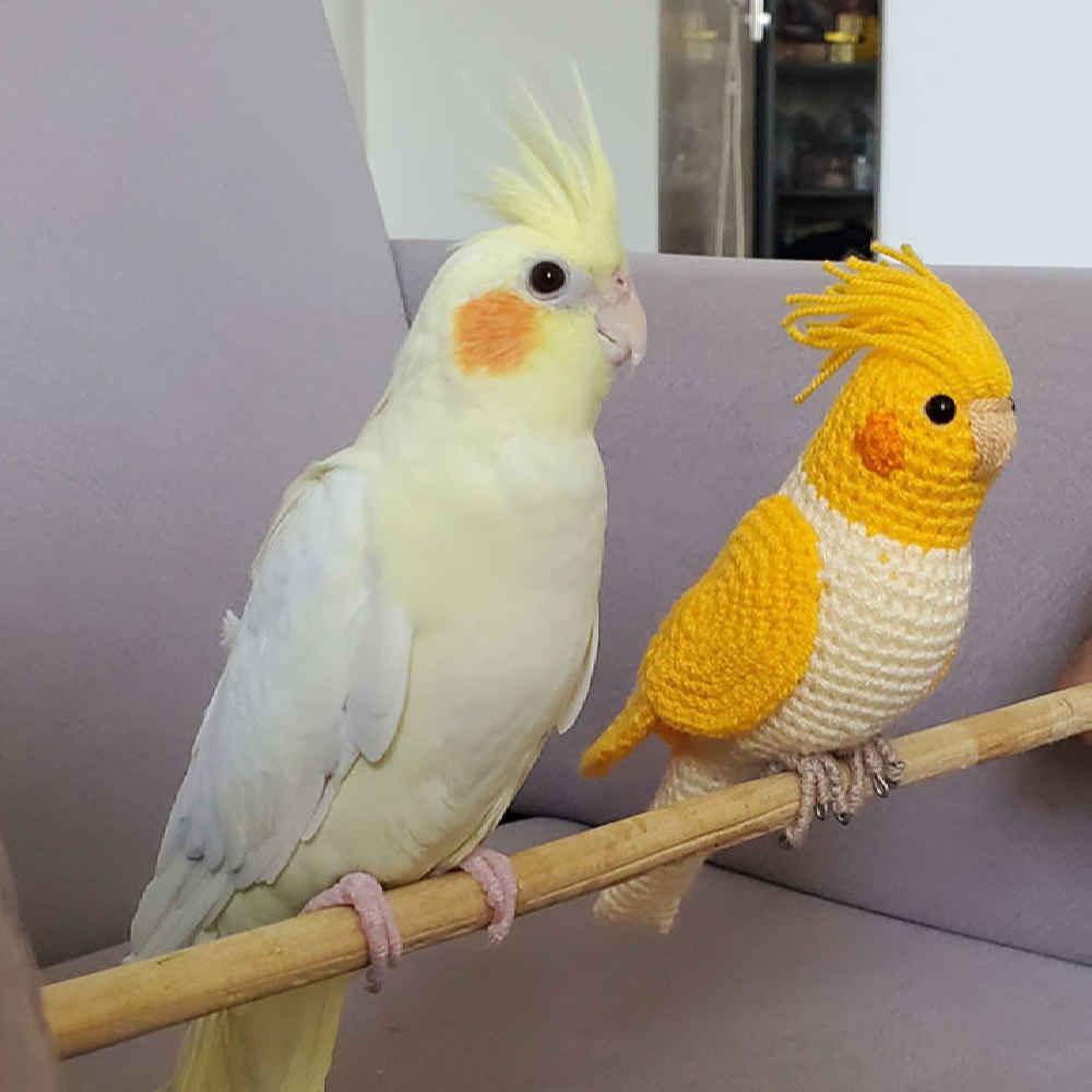 Amigurumi gevulde valkparkiet vogel handgemaakt