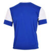 Esteghlal FC Fan Shirt – Taj Ontwerp
