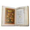 Rubaiyat van Omar Khayyam – Engels & Perzisch – Hardcover
