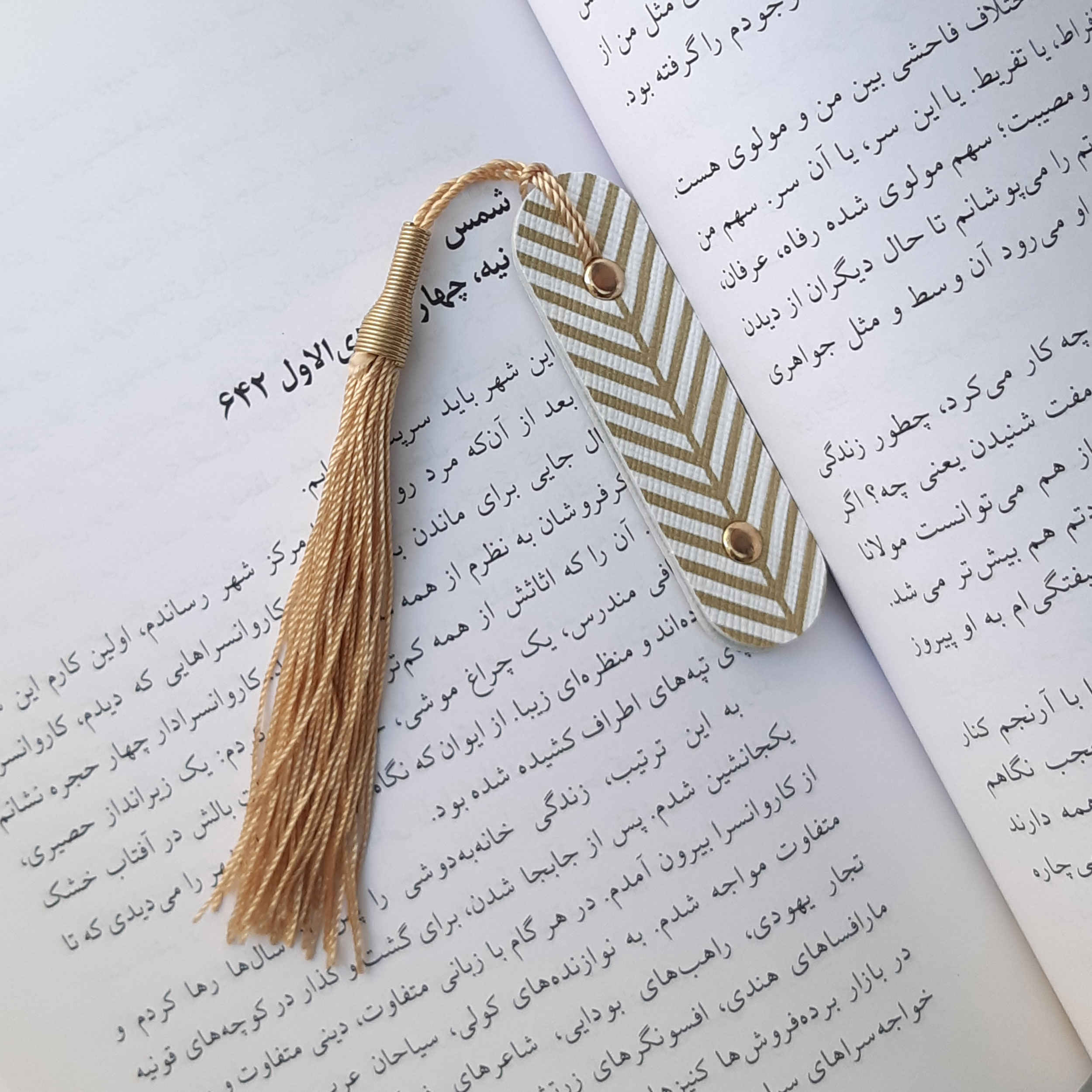 Gouden Leren Boekenlegger – Striped Model