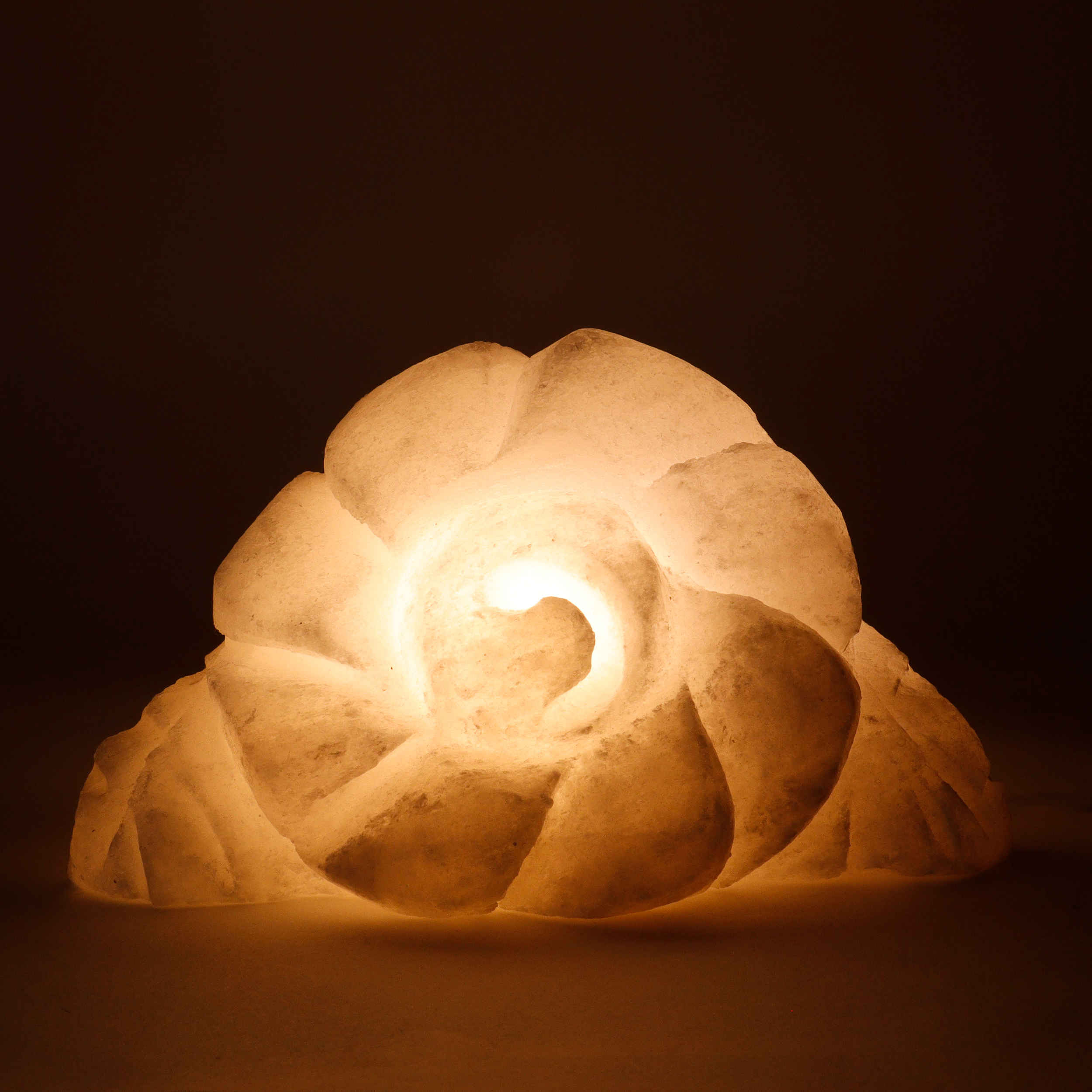 Perzische Bloem Zoutlamp – Handgemaakt Royal Design