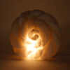 Perzische Bloem Zoutlamp – Handgemaakt Viana Design
