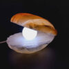 Zoutlamp Nachtlampje – Schelp & Parel Design
