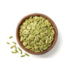 Iraanse groene venkelzaden – 500 gram (Biologisch)