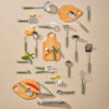 Notenkraker – Ergonomische Walnoot & Hazelnoot Opener