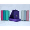 Rainbow Koran met Perzische Vertaling in Leren Doos – Beige