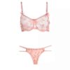 Luxe Lingerieset – Roze Vlinderontwerp