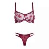 Luxe Lingerieset – Roze Vlinderontwerp
