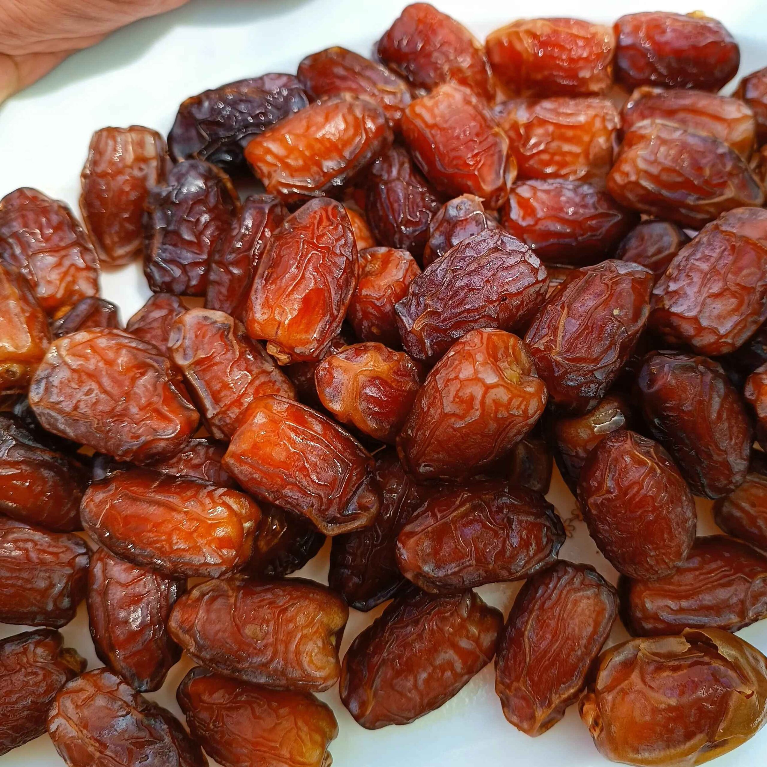 Premium Barhi dadels uit Khuzestan – Traditionele halfgedroogde zoete dadels – 1000g