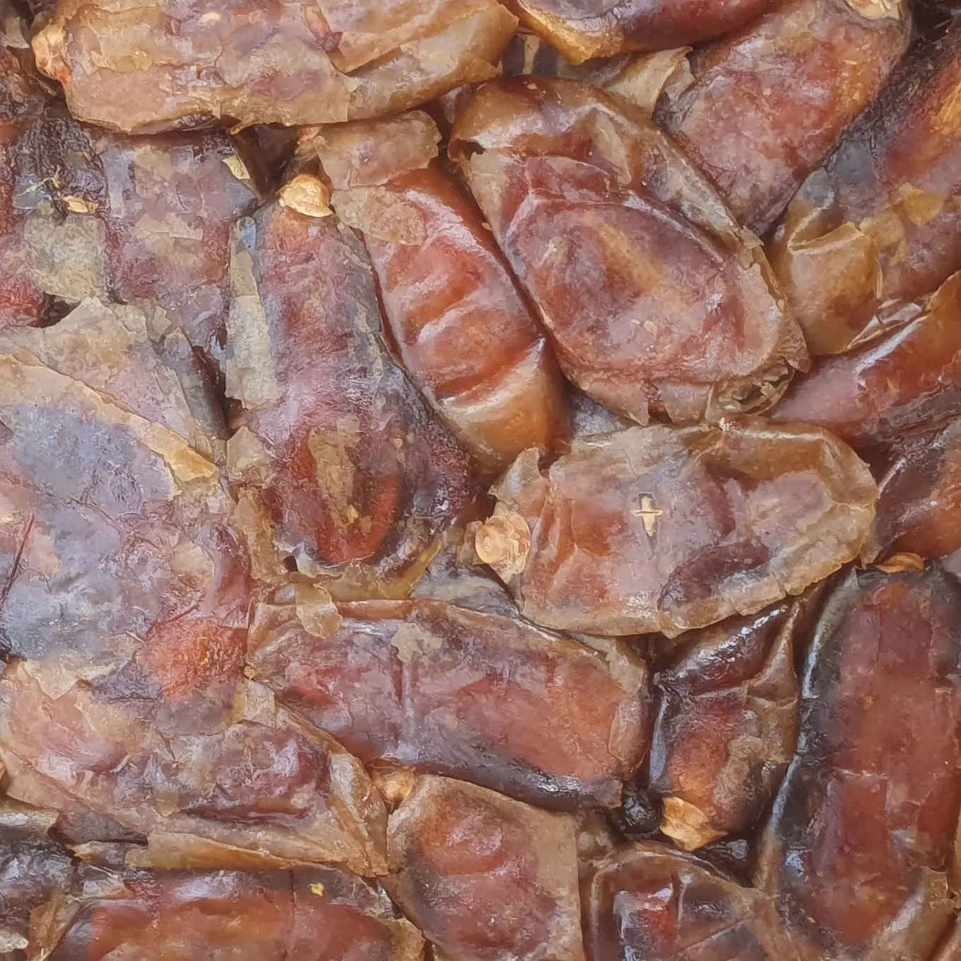 Bio Shahani dadels uit Iran – Zachte & lange zoete gedroogde dadels – 3000g