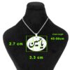 Islamitische Stalen Ketting met Ya Hussain Medaillon