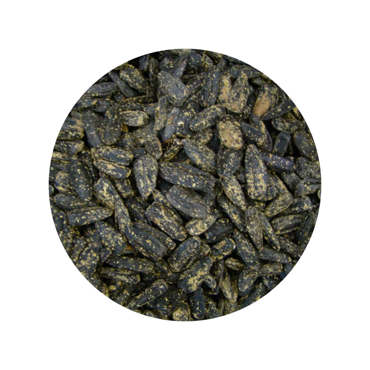 Khoy Zonnebloempitten met Golpar en Zout – 720g