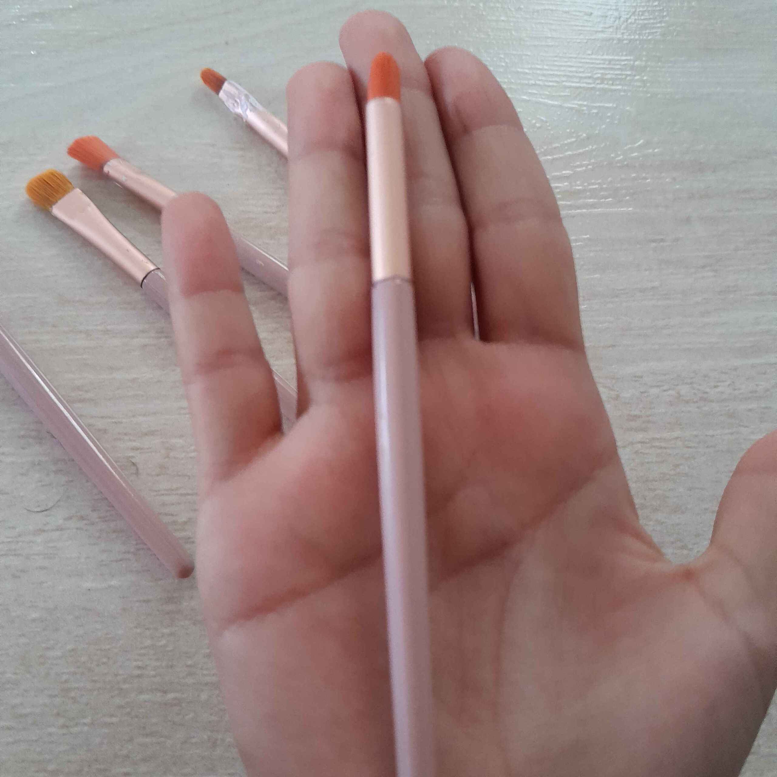 5-Delige Filbert Borstel Penseelset voor Aquarel, Acryl & Gouache