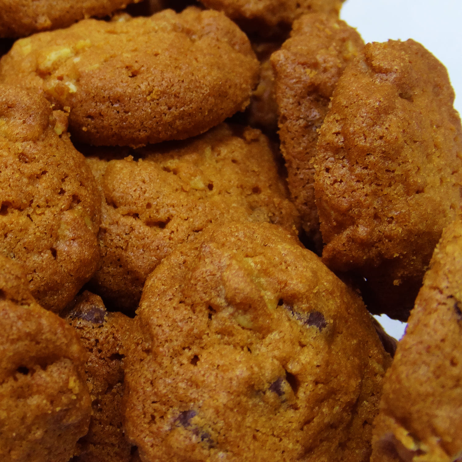 Perzische Dieet Gerstencookies uit Qazvin – 700g Voordeelverpakking