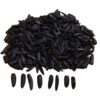 Khoy Shamshiri Jumbo Zonnebloempitten – 1000g