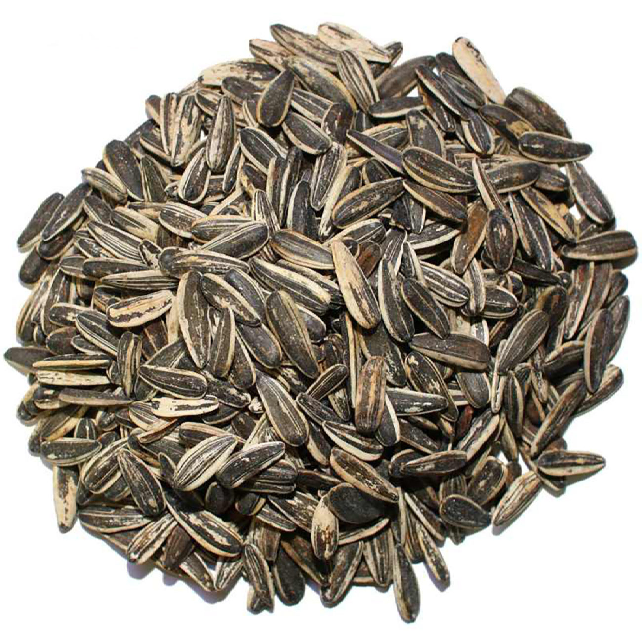 Gezouten Zonnebloempitten met Schil Snack – 600g