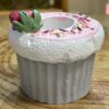 Aardbei Cupcake Tandenstokerhouder – Voor Thuis en Horeca