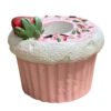 Aardbei Cupcake Tandenstokerhouder – Voor Thuis en Horeca