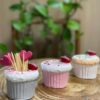 Aardbei Cupcake Tandenstokerhouder – Voor Thuis en Horeca