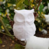 Decoratief Witte Uil Beeldje als Geschenk – Keramisch Vogelsculptuur