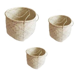 Set van 3 Perzische Handgeweven Palmbladmanden – Chevron Patroon