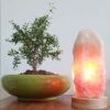 Perzische zoutlamp met houten basis – Steenontwerp