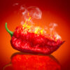 Hamedanian hete peper tomatensaus (900g)