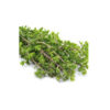 Biologische Gedroogde Iraanse Marjoleinblaadjes – 120g